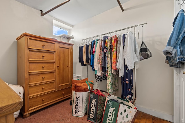 view of walk in closet