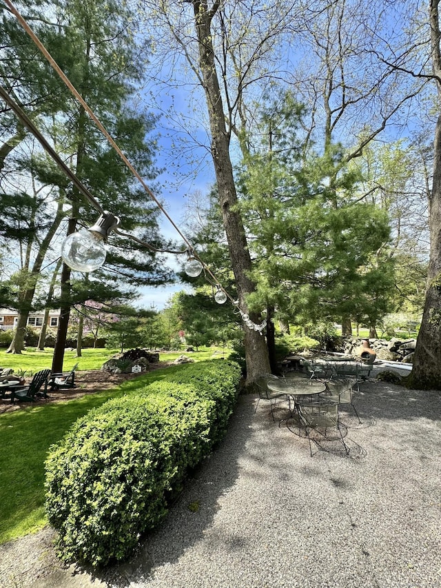 view of yard with a patio area