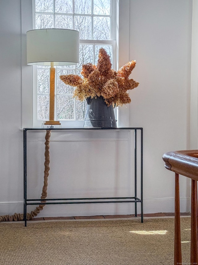 interior details with baseboards and carpet