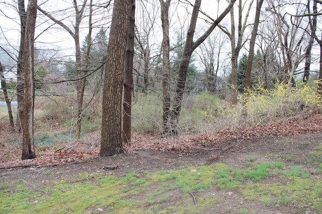 244 Walnut Tree Hill Rd, Shelton, CT 06484 - view of yard