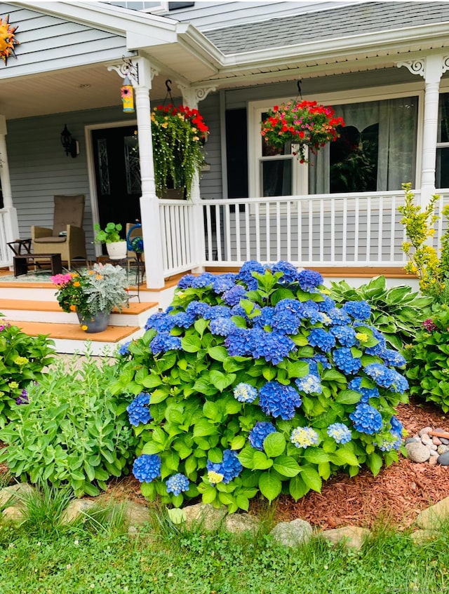 269 Silver Hill Rd, Derby, CT 06418 - exterior space