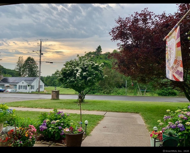 269 Silver Hill Rd, Derby, CT 06418 - view of yard