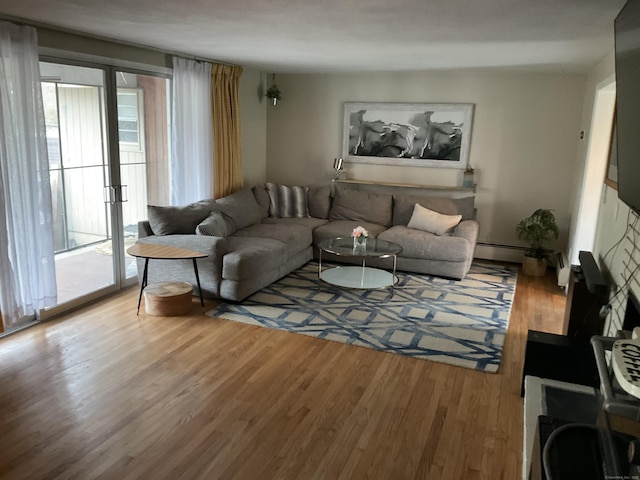 living room featuring wood finished floors