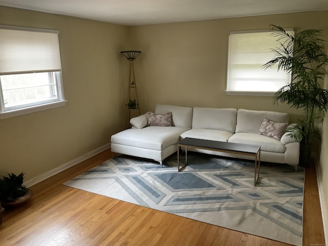 living room with wood finished floors and baseboards