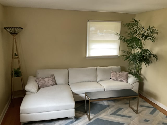 living room featuring wood finished floors and baseboards