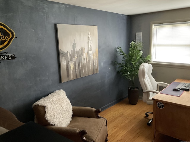 office area featuring wood finished floors