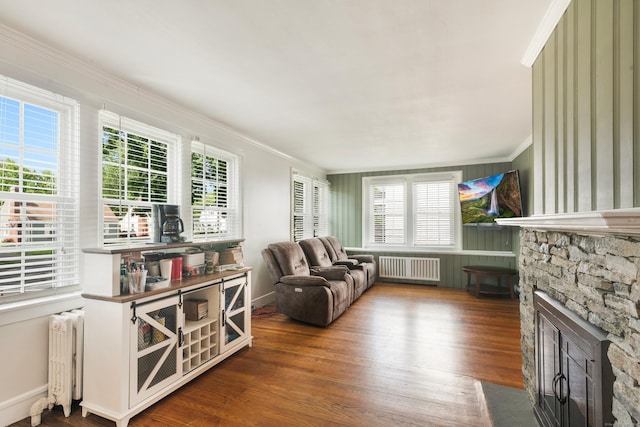 37 Dale Rd, Wethersfield, CT 06109 - living room with radiator heating unit, a stone fireplace, ornamental molding, and wood finished floors
