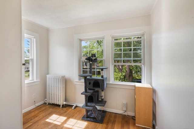 37 Dale Rd, Wethersfield, CT 06109 - living area with radiator, wood finished floors, and healthy amount of natural light