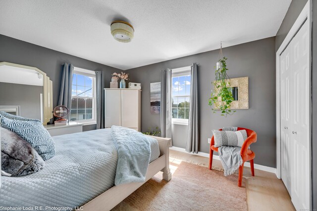 38 Benjamin Rd, East Haven, CT 06513 - bedroom with baseboards, multiple windows, light carpet, and a closet