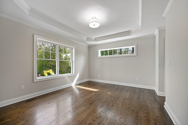 01 Sunrise Rd, Danbury, CT 06811 - spare room with a raised ceiling, crown molding, and dark wood finished floors