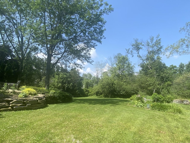 7 Beacon Ln, Norfolk, CT 06058 - view of grassy yard