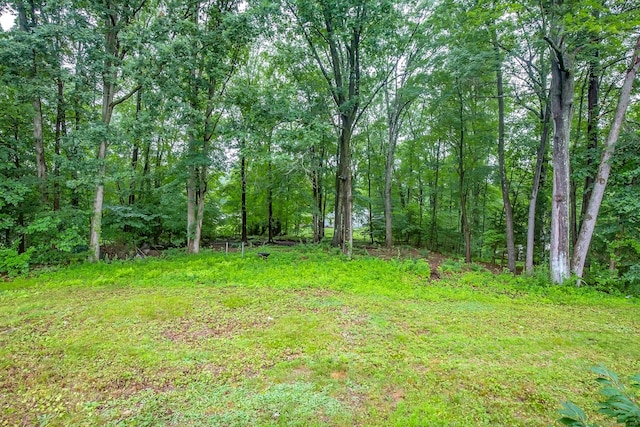10 Belinda Ln, Enfield, CT 06082 - view of yard with a wooded view