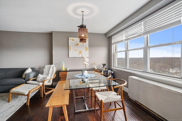 2625 Park Ave Phj, Phj, Bridgeport, CT 06604 - dining space featuring radiator heating unit, baseboards, and dark wood-style floors