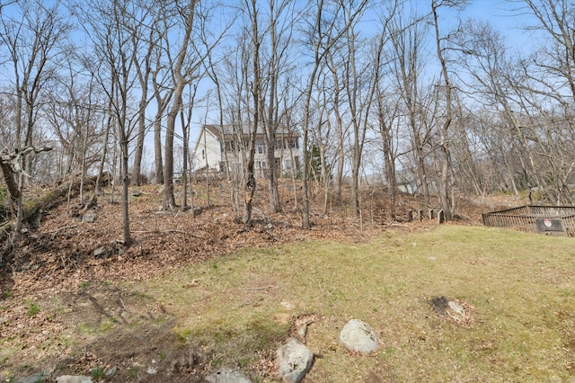 view of grassy yard