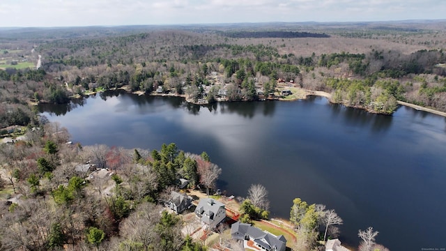 72 Indian Spring Rd, Woodstock, CT 06281 - bird's eye view featuring a wooded view and a water view