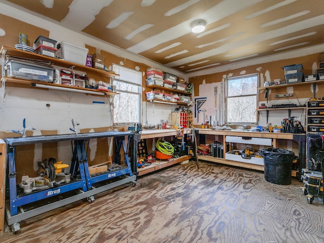 kitchen featuring open shelves and a healthy amount of sunlight