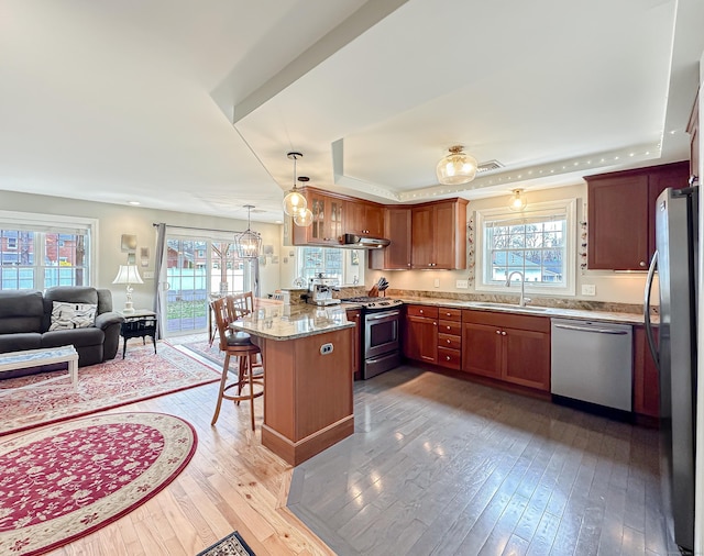 kitchen featuring plenty of natural light, a tray ceiling, a sink, and appliances with stainless steel finishes
