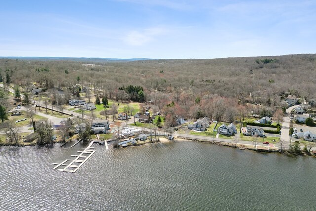 75 N Main St, East Hampton, CT 06424 - drone / aerial view of a nearby body of water and a heavily wooded area