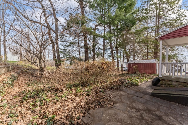 view of yard with a storage shed and an outdoor structure