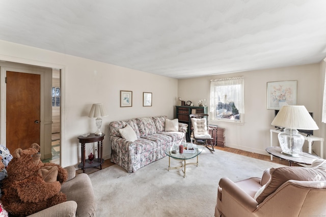 living area with baseboards and wood finished floors