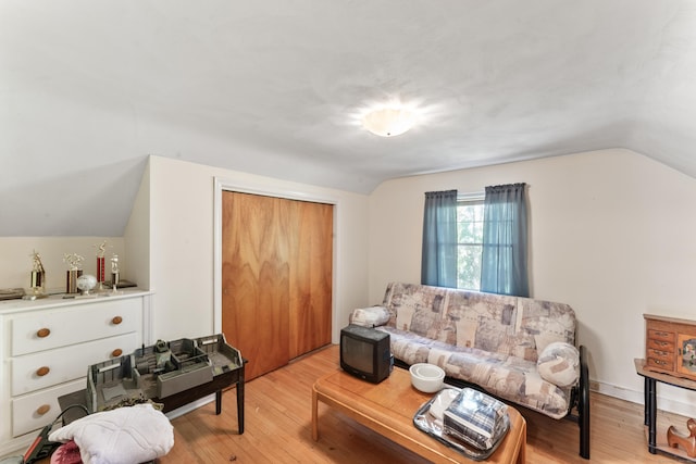 living room with light wood-type flooring and lofted ceiling
