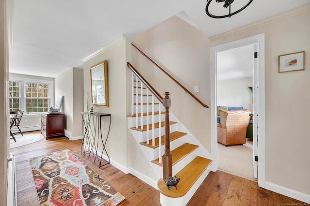 stairway featuring baseboards, wood-type flooring, and crown molding
