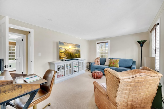 living room with carpet and plenty of natural light