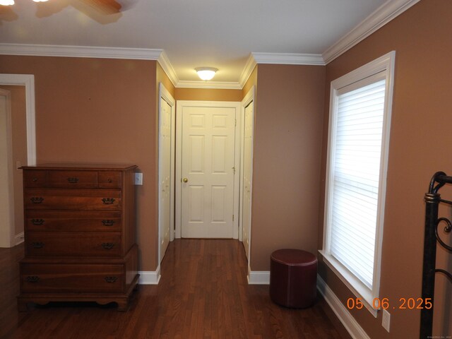 70 Allison Way Unit 70, East Haven, CT 06512 - hallway with dark wood-type flooring, baseboards, and ornamental molding