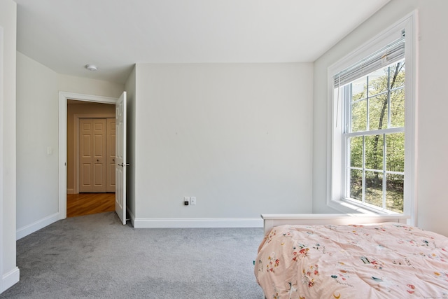 31 Cambridge Ct, Colchester, CT 06415 - unfurnished bedroom with multiple windows, carpet, and baseboards
