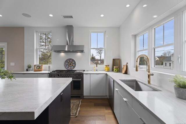 kitchen with wall chimney range hood, appliances with stainless steel finishes, a sink, and a healthy amount of sunlight