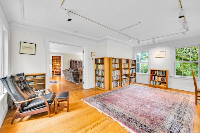 64 Blake Rd, Hamden, CT 06517 - sitting room with rail lighting, light wood finished floors, ornamental molding, and wood ceiling