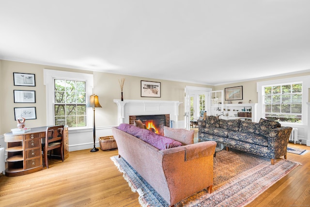 64 Blake Rd, Hamden, CT 06517 - living room with a fireplace, light wood-type flooring, and crown molding