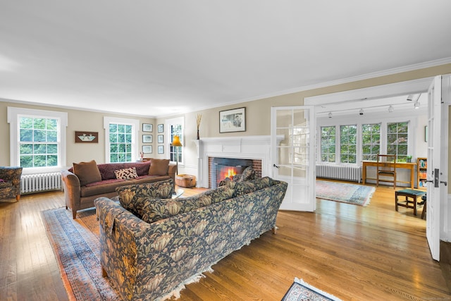64 Blake Rd, Hamden, CT 06517 - living area with radiator, rail lighting, wood-type flooring, a fireplace, and crown molding