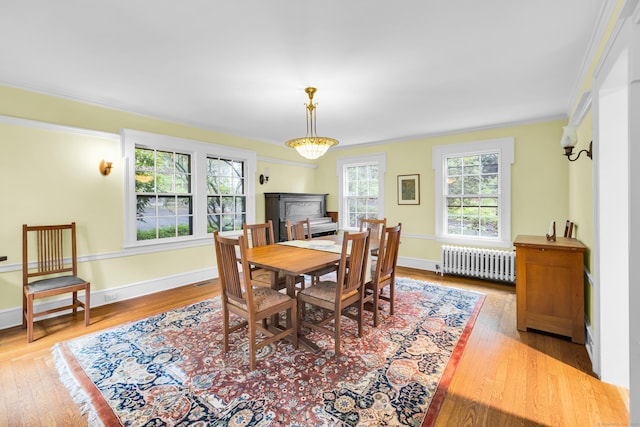 64 Blake Rd, Hamden, CT 06517 - dining space featuring radiator, wood finished floors, and crown molding