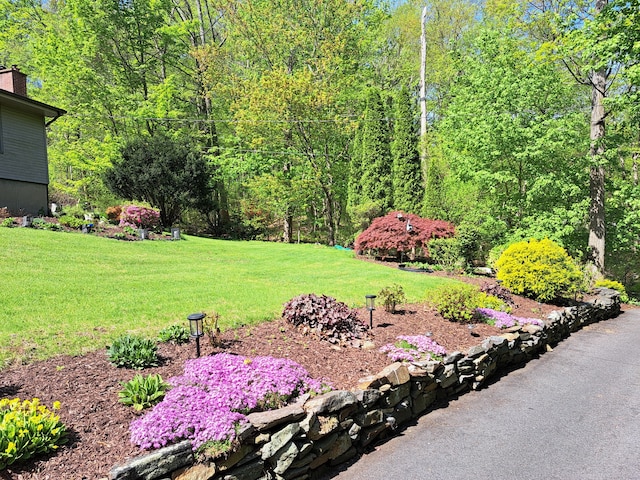 2780 Meriden Waterbury Tpke, Southington, CT 06444 - view of yard
