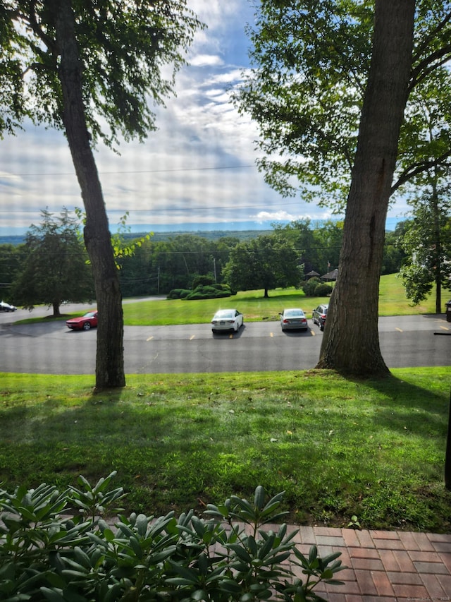 view of grassy yard