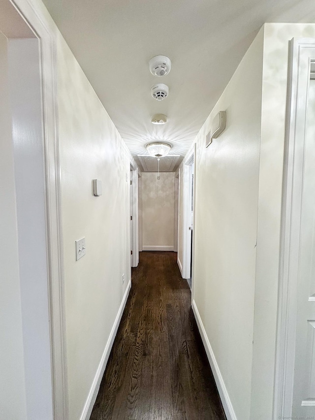 5 Shannon Rdg, Danbury, CT 06810 - hallway with dark wood-style flooring and baseboards