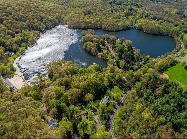 173 Barlow Mountain Rd, Ridgefield, CT 06877 - drone / aerial view of a forest and a nearby body of water