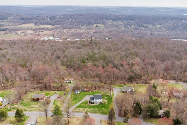 39 Overlook Dr, New Milford, CT 06776 - bird's eye view featuring a wooded view