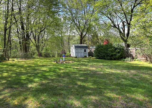 view of yard with an outdoor structure and a storage unit