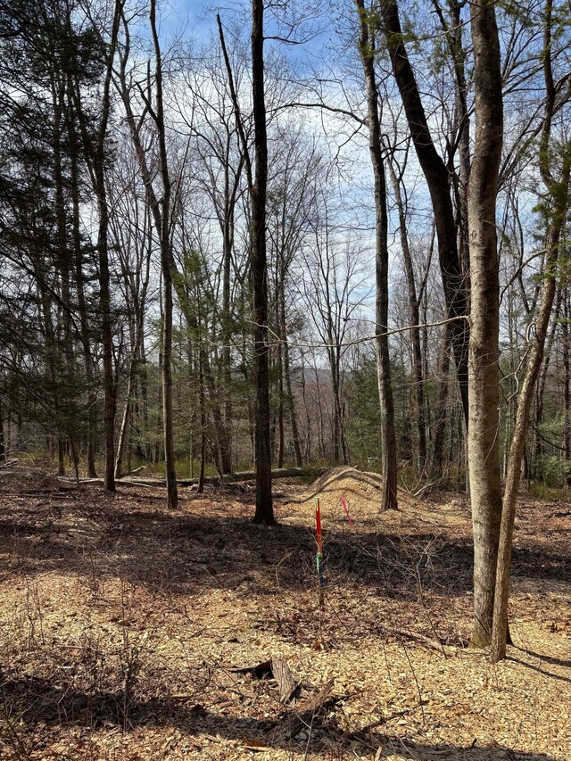 LOT3 Chalybes Rd, Roxbury, CT 06783 - photo 4