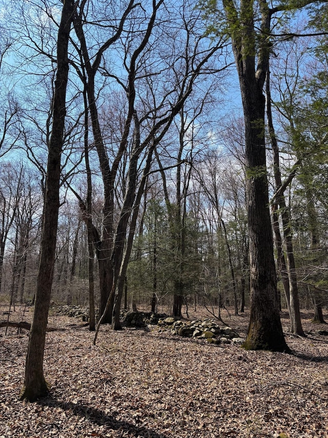 LOT3 Chalybes Rd, Roxbury, CT 06783 - photo 5