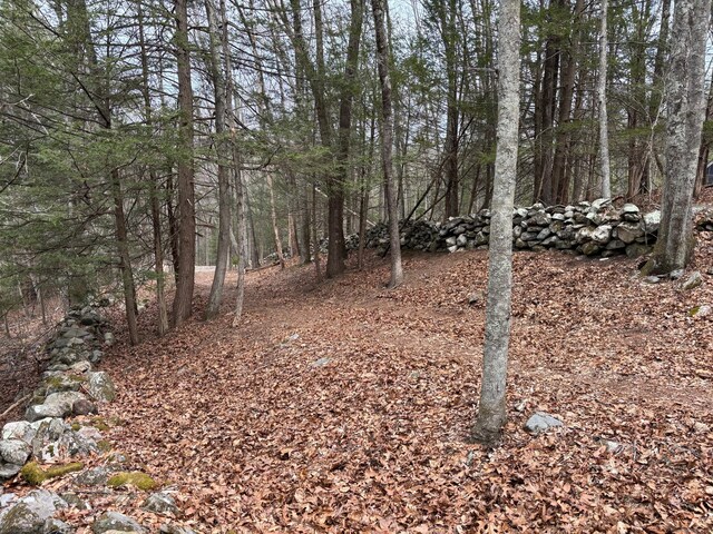 LOT3 Chalybes Rd, Roxbury, CT 06783 - photo 10