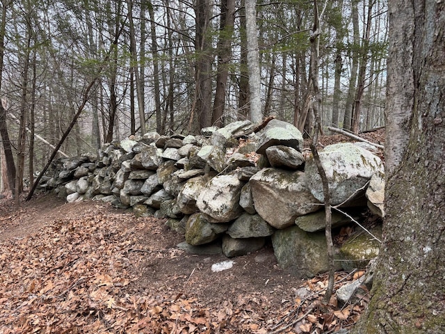 LOT3 Chalybes Rd, Roxbury, CT 06783 - photo 11