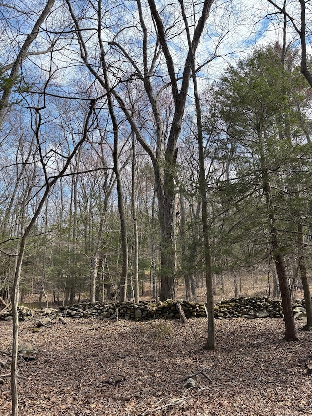 LOT3 Chalybes Rd, Roxbury, CT 06783 - photo 13