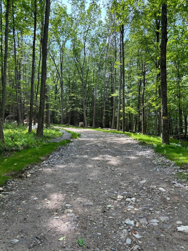 LOT3 Chalybes Rd, Roxbury, CT 06783 - photo 1