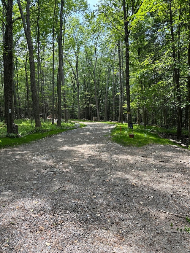 LOT3 Chalybes Rd, Roxbury, CT 06783 - photo 2