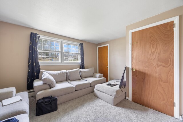 living area featuring carpet flooring