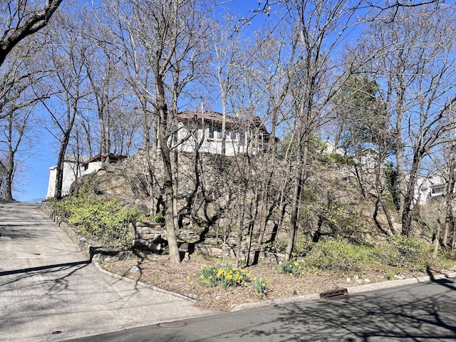 18 Highland Rd, Stamford, CT 06902 - photo 4