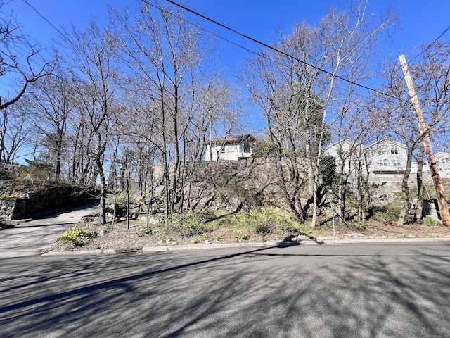 18 Highland Rd, Stamford, CT 06902 - photo 13